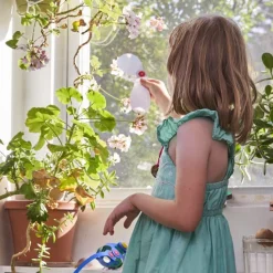 Window Pack · Clixo